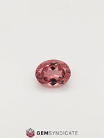 Load image into Gallery viewer, Glamorous Oval Pink Tourmaline 2.55ct
