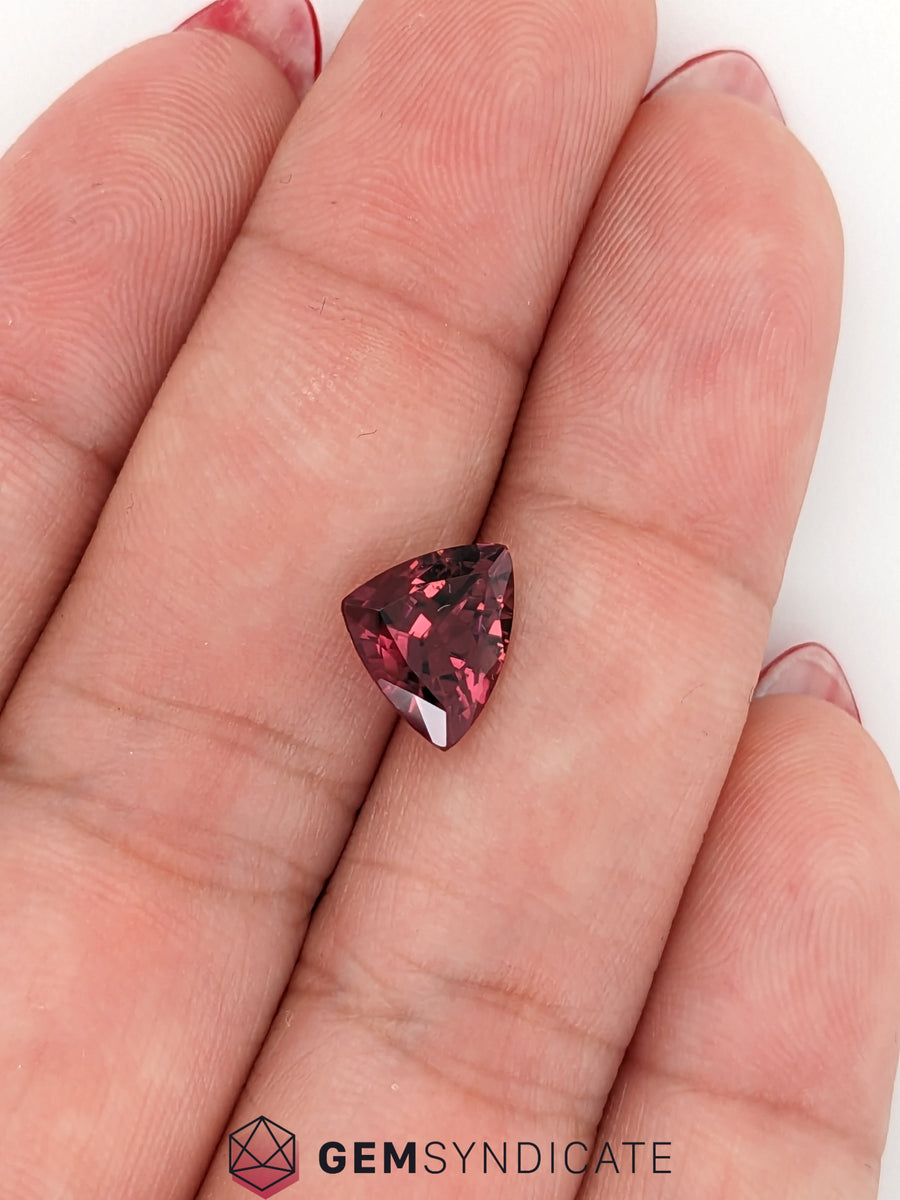 Enchanting Trillion Pink Tourmaline 2.08ct – The Gem Syndicate