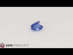 Load and play video in Gallery viewer, Enchanting Marquise Blue Tanzanite 1.74ctw Pair
