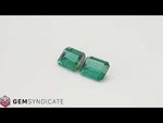 Load and play video in Gallery viewer, Electrifying Emerald Cut Green Tourmaline Pair 8.24ctw
