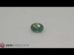 Load and play video in Gallery viewer, Amazing Oval Teal Sapphire 2.19ct
