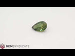 Load and play video in Gallery viewer, Glistening Pear-Shaped Green Sapphire 2.76ct
