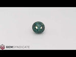 Load and play video in Gallery viewer, Impressive Round Teal Sapphire 4.47ct
