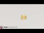 Load and play video in Gallery viewer, Brilliant Elongate Hexagon Yellow Sapphire 1.16ct
