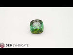 Load and play video in Gallery viewer, Electric Cushion Green Tourmaline 8.76ct
