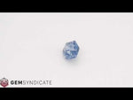 Load and play video in Gallery viewer, Divine Elongated Hexagon Blue Sapphire 2.30ct
