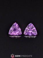 Load image into Gallery viewer, Lovely Trillion Shape Purple Amethyst Pair 8.59ctw
