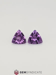 Lovely Trillion Shape Purple Amethyst Pair 8.59ctw