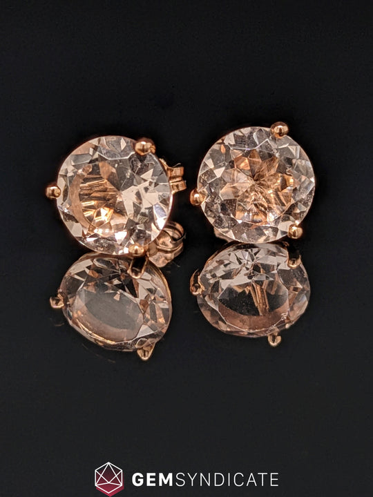 Impressive Round Morganite Stud Earrings in 14k Rose Gold