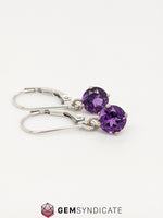 Load image into Gallery viewer, Charming Amethyst Solitaire Dangle Birthstone Earrings
