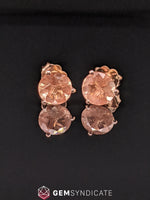 Load image into Gallery viewer, Glittery Round Oregon Sunstone Earrings in 14k Rose Gold
