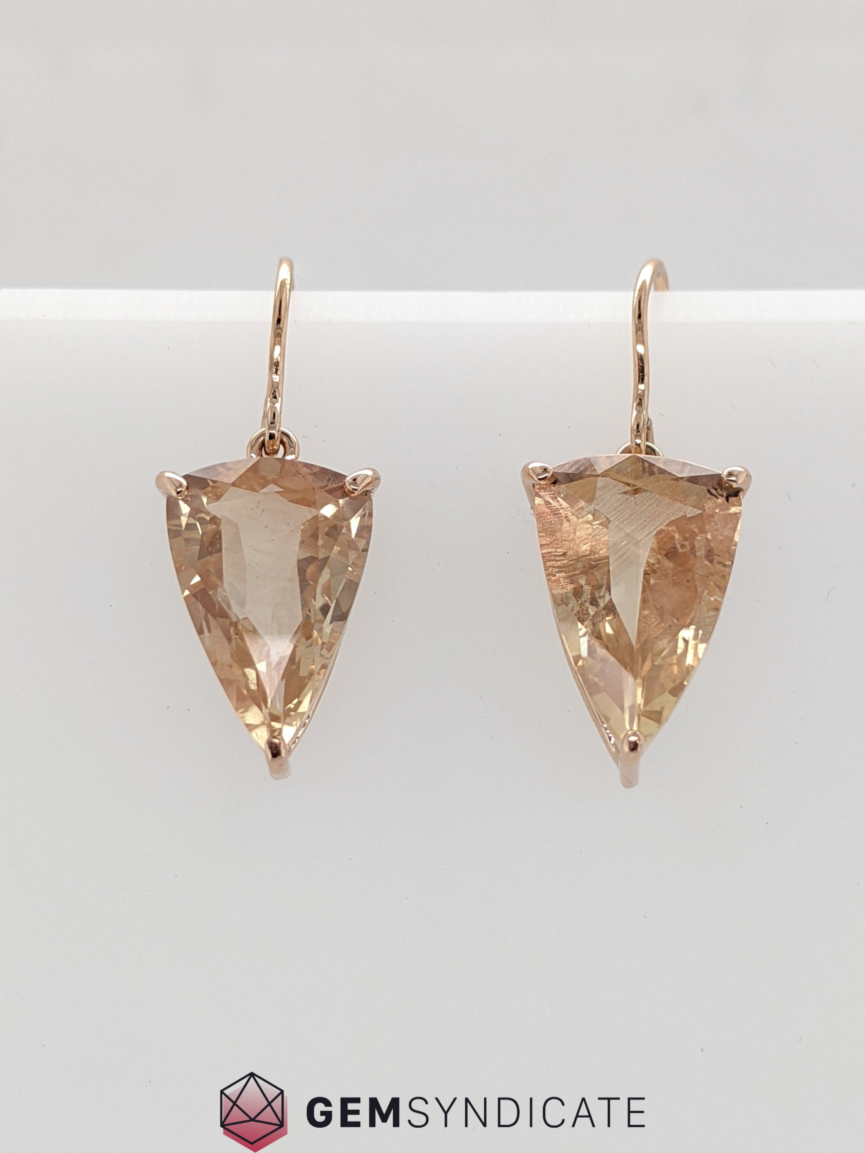 Elegant Shield Shaped Drop Earrings in 14k Rose Gold