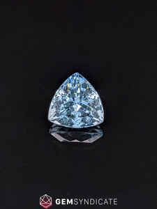 Sumptuous Trillion Shape Blue Aquamarine 5.92ct