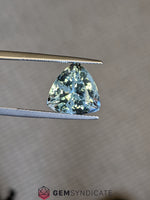 Load image into Gallery viewer, Sumptuous Trillion Shape Blue Aquamarine 5.92ct
