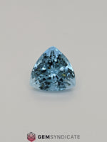 Load image into Gallery viewer, Sumptuous Trillion Shape Blue Aquamarine 5.92ct
