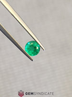 Load image into Gallery viewer, Alluring Round Green Emerald 0.75ct
