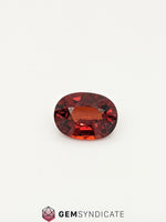 Load image into Gallery viewer, Magnificent Oval Reddish/Orange Spessartite Garnet 5.24ct
