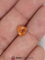 Load image into Gallery viewer, Fiery Trillion Orange Spessartite Garnet 1.82ct
