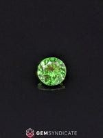 Load image into Gallery viewer, Amazing Round Green Tsavorite Garnet 0.86ct
