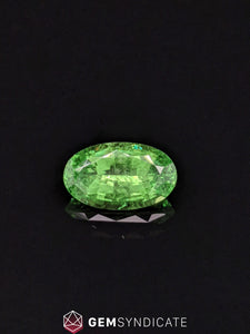 Enchanting Oval Green Tsavorite Garnet 2.09ct