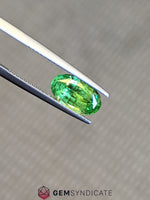 Load image into Gallery viewer, Enchanting Oval Green Tsavorite Garnet 2.09ct
