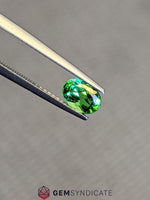 Load image into Gallery viewer, Wonderful Oval Green Tsavorite Garnet 1.00ct
