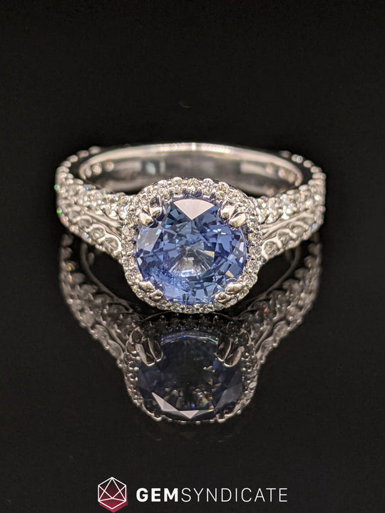 Show-Stopping Blue Sapphire Halo Ring in 14k White Gold
