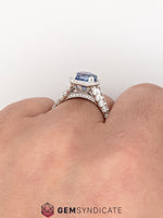 Load image into Gallery viewer, Show-Stopping Blue Sapphire Halo Ring in 14k White Gold
