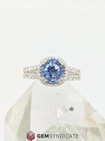 Load image into Gallery viewer, Show-Stopping Blue Sapphire Halo Ring in 14k White Gold
