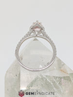 Load image into Gallery viewer, Dazzling Peach Sapphire Ring in 14k White Gold
