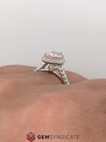 Load image into Gallery viewer, Dazzling Peach Sapphire Ring in 14k White Gold
