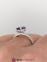 Load image into Gallery viewer, Pretty Radiant Cut Purple Sapphire Ring in 14k White Gold
