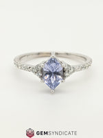 Load image into Gallery viewer, Majestic Lavender Sapphire Ring in 14k White Gold
