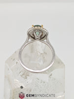 Load image into Gallery viewer, Breathtaking Montana Teal Sapphire Ring in 14k White/Yellow Gold
