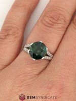 Load image into Gallery viewer, Marvelous Teal Sapphire &amp; Diamond Ring in Platinum
