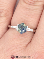 Load image into Gallery viewer, Classy Parti Sapphire Ring in 14k White Gold

