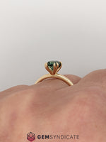 Load image into Gallery viewer, Sophisticated Fancy Teal Sapphire Ring in 14k Yellow Gold

