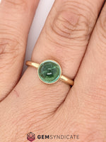 Load image into Gallery viewer, Sophisticated Green Tourmaline Ring in 14k Yellow Gold
