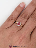Load image into Gallery viewer, Elegant Ruby and Diamond Ring in 14k Yellow Gold
