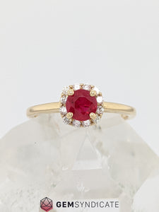 Elegant Ruby and Diamond Ring in 14k Yellow Gold