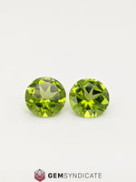 Load image into Gallery viewer, Mesmerizing Round Green Peridot Pair 6.77ctw
