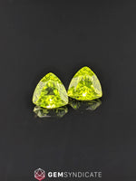Load image into Gallery viewer, Enchanting Trillion Green Peridot Pair 4.22ctw
