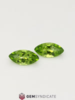Load image into Gallery viewer, Wonderful Marquise Green Peridot Pair 6.23ctw
