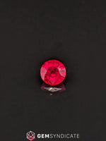 Load image into Gallery viewer, Gorgeous Round Ruby 1.55ct
