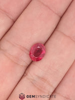 Load image into Gallery viewer, Fantastic Oval Ruby 2.02ct
