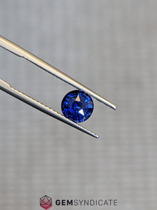 Amazing Round Blue Sapphire 1.33ct