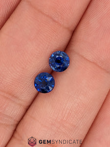 Enticing Round Blue Sapphire Pair 1.73ctw