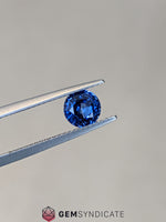 Load image into Gallery viewer, Regal Round Blue Sapphire 1.21ct
