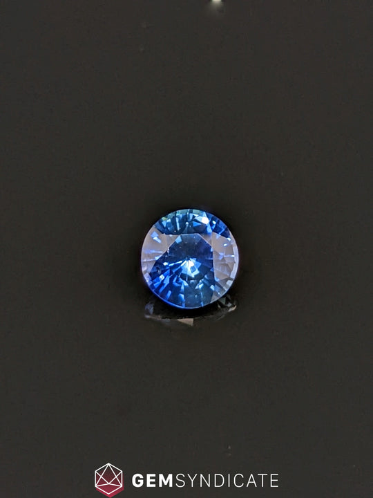 Terrific Round Blue Sapphire 1.17ct
