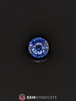 Load image into Gallery viewer, Dazzling Round Blue Sapphire 1.66ct

